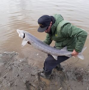 Meet your Posher, Joshua